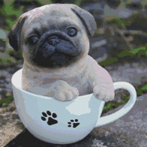 Baby pug hotsell in a mug