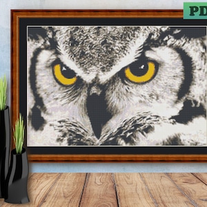 May include: A close-up of an owl's face with sharp, piercing yellow eyes. The owl's feathers are a mix of gray and white, creating a striking contrast against the dark background.