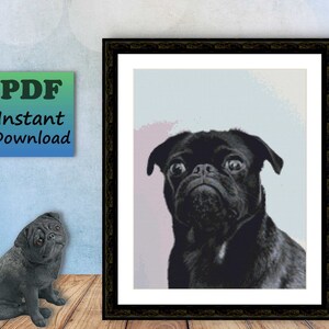 May include: A black pug dog with a serious expression, looking directly at the camera. The dog is in focus against a blurred background of light blue and pink.