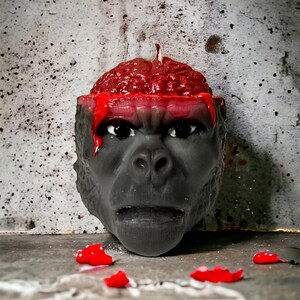 Brains