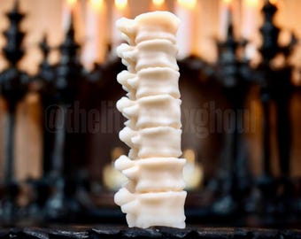 Set di colonna vertebrale