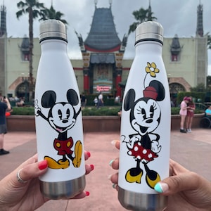 Disney inspired insulated 17oz water bottle.