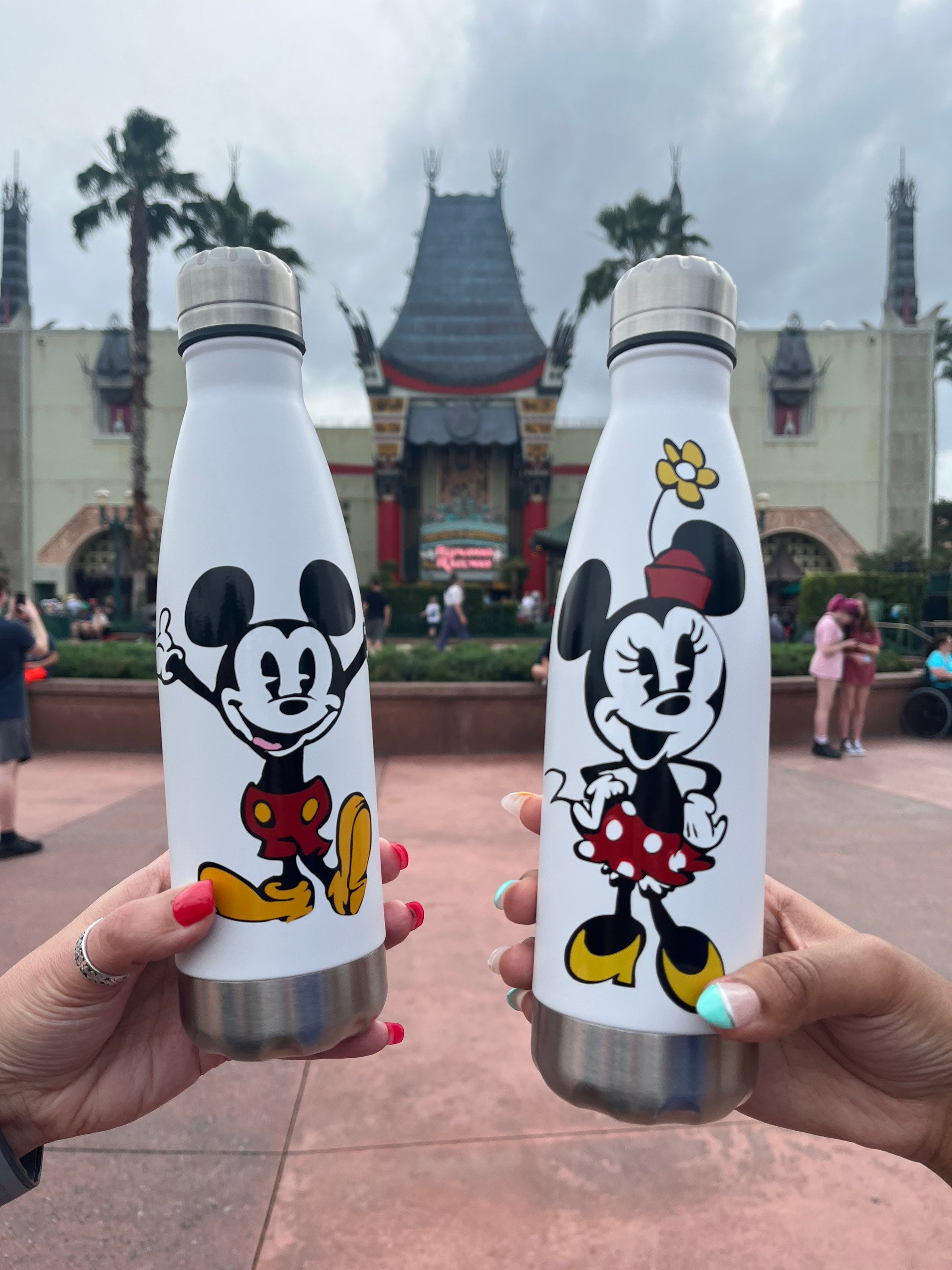 Disney inspired insulated 17oz water bottle.