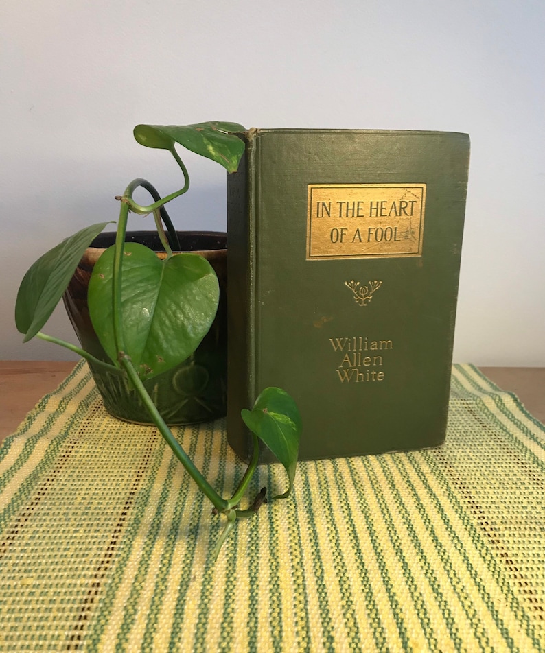 May include: A green hardcover book titled "In the Heart of a Fool" by William Allen White. The book is sitting on a green and white striped surface.