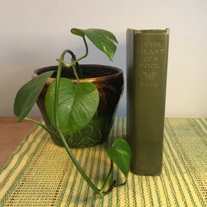 May include: A green hardcover book titled "In the Heart of a Fool" by White, next to a potted plant with green leaves in a brown and green ceramic pot on a green and white striped surface.