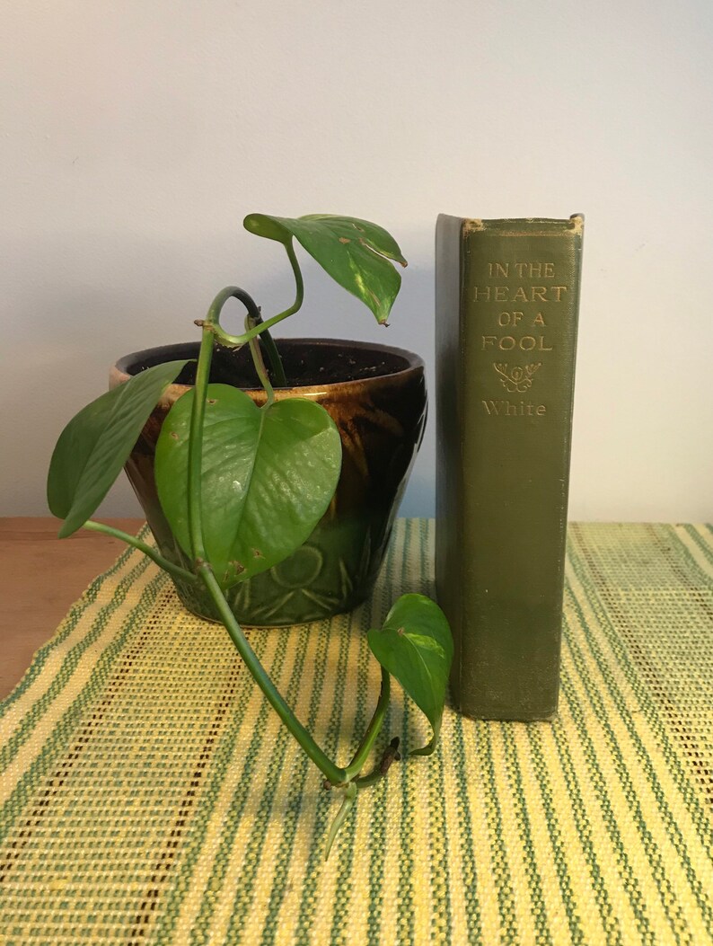 May include: A green hardcover book titled "In the Heart of a Fool" by White, next to a potted plant with green leaves in a brown and green ceramic pot on a green and white striped surface.