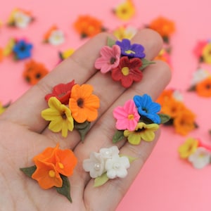 Pode incluir: Uma cole&ccedil;&atilde;o de pequenos aglomerados de flores coloridas em v&aacute;rias tonalidades, incluindo laranja, amarelo, rosa, vermelho e azul. Cada aglomerado apresenta m&uacute;ltiplas p&eacute;talas e folhas verdes, num fundo rosa.