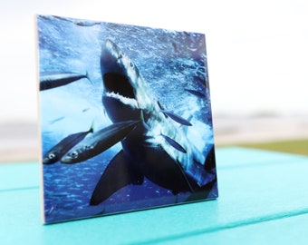 Splashing Shark on tile/ Shark art/ Great White/ White shark