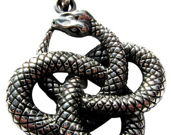 Colgante de serpiente Ouroboros de plata de ley 925