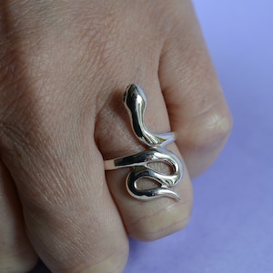 May include: A silver snake ring with a coiled design. The ring is worn on a person's finger.