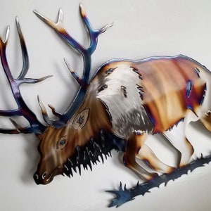 Elk Charging