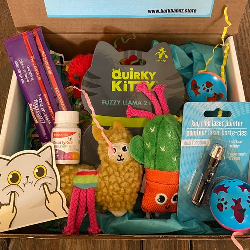 Cat Gift Box Etsy