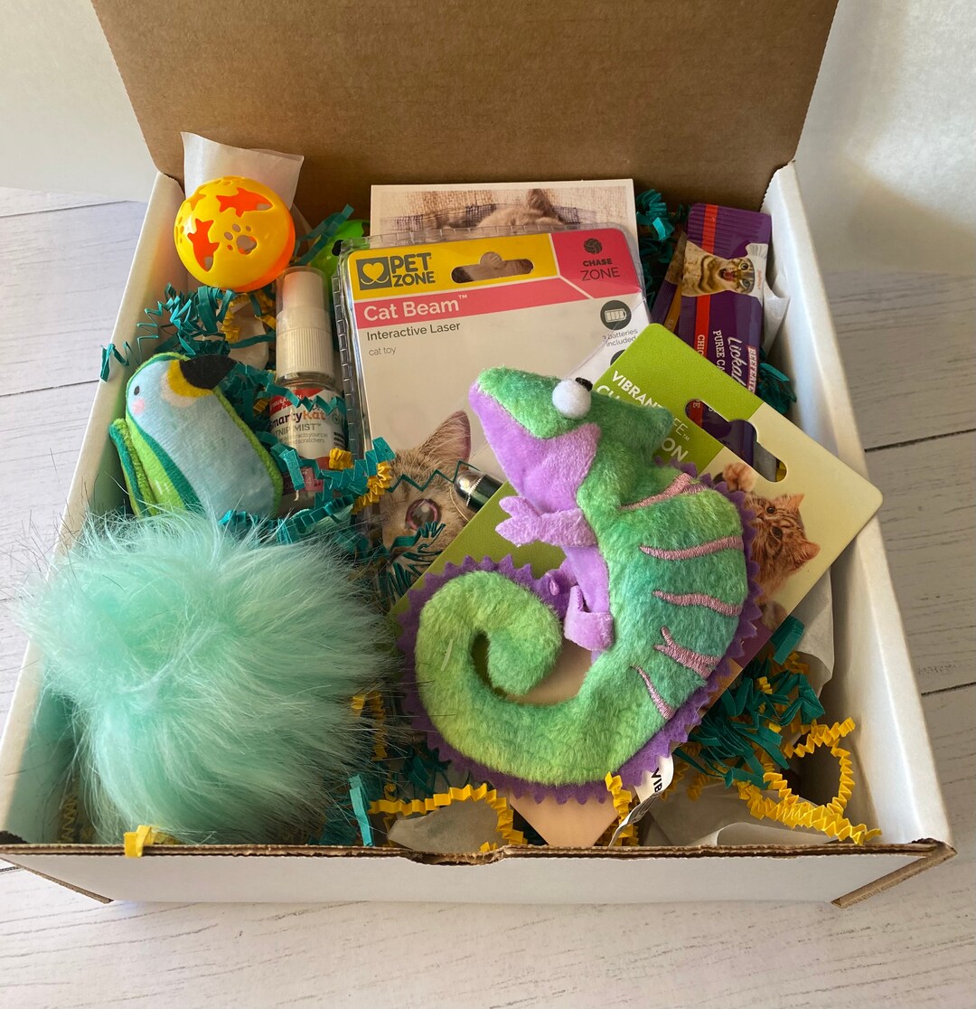 Cat Gift Cat Gift Box Cat Toys new Cat Gifts Cat Present Etsy