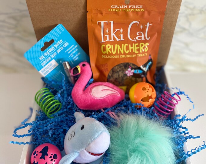 Cat Gift, Cat Gift Box, Cat Toys, New Cat Gifts, Cat Present, New