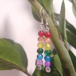 LGBTQ+ Homosexual Pride earrings