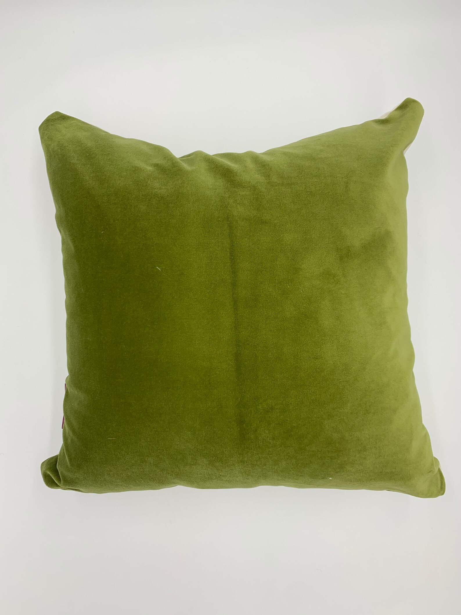 Luxury Cushion in Designers Guild Velvet Pastel Green and Etsy