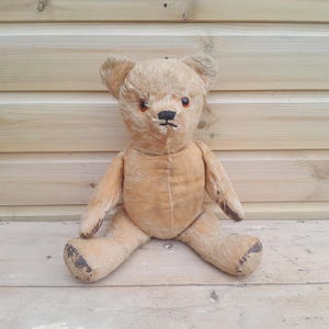 Pedigree Teddy Bears - Etsy