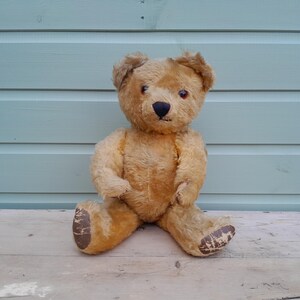 Old Pedigree Bear - Etsy