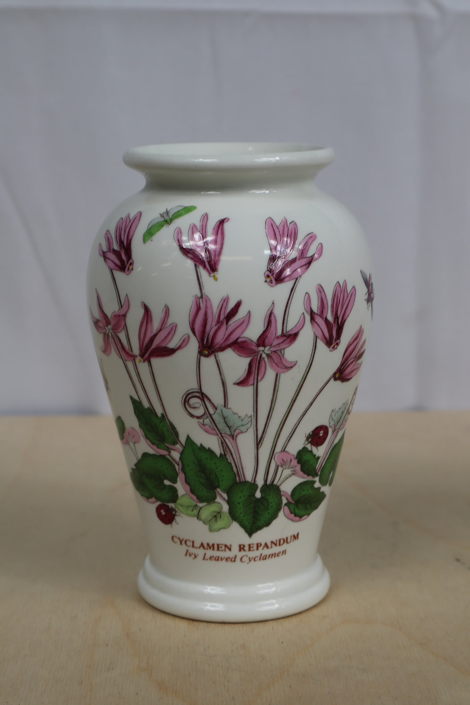 Pair of Portmeirion Botanic Garden Vase Daisy and Cylamen Etsy