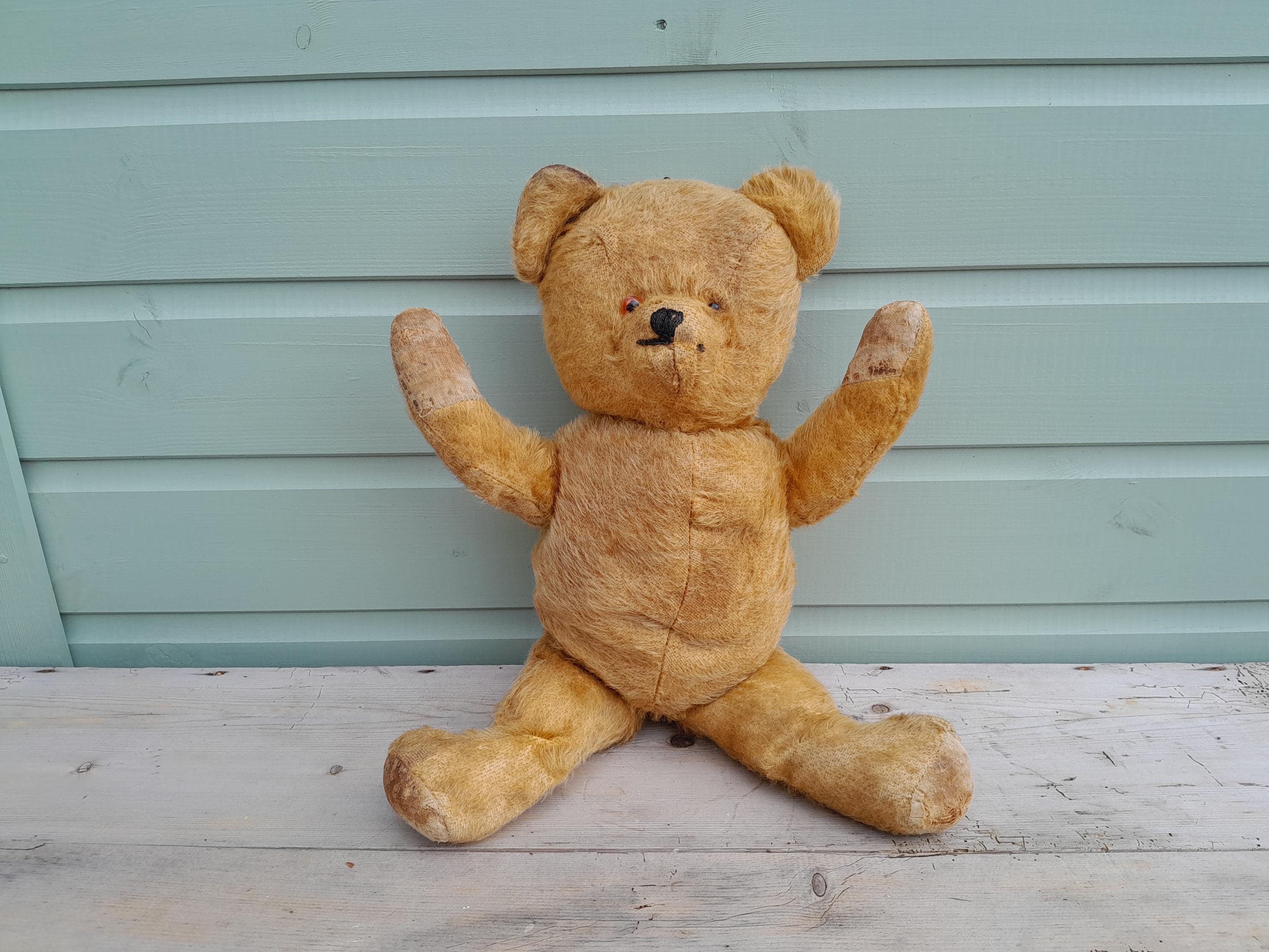 Pedigree Vintage Teddy Bear - Etsy