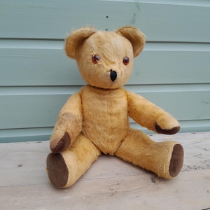 Pedigree Vintage Teddy Bear - Etsy