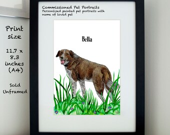 Personalise Pet portraits