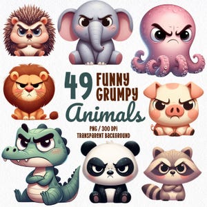 Clipart divertenti animali scontrosi, clipart PNG cuccioli di animali, clipart safari mare casa uccelli animali selvatici fattoria animali della giungla, adesivo digitale