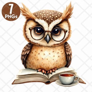 Baby Eule, die ein Buch liest PNG, nette Buch-Liebhaber-Eulen-Clipart, Aquarell wunderliche Lesung digitaler Download, Kinderzimmer-Dekor PNG, digitaler Aufkleber