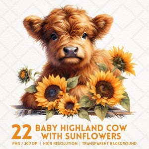 Aquarelle bébé vache Highland Clipart tournesol, bébé animal Png, journaux indésirables, albums de coupures, usage commercial, autocollant numérique