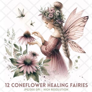 Coneflower Healing Fairies JPG, Fada aquarela com flor de equinácea, Adesivo digital de ervas de fantasia com asas rosa suaves, Verão caprichoso JPG