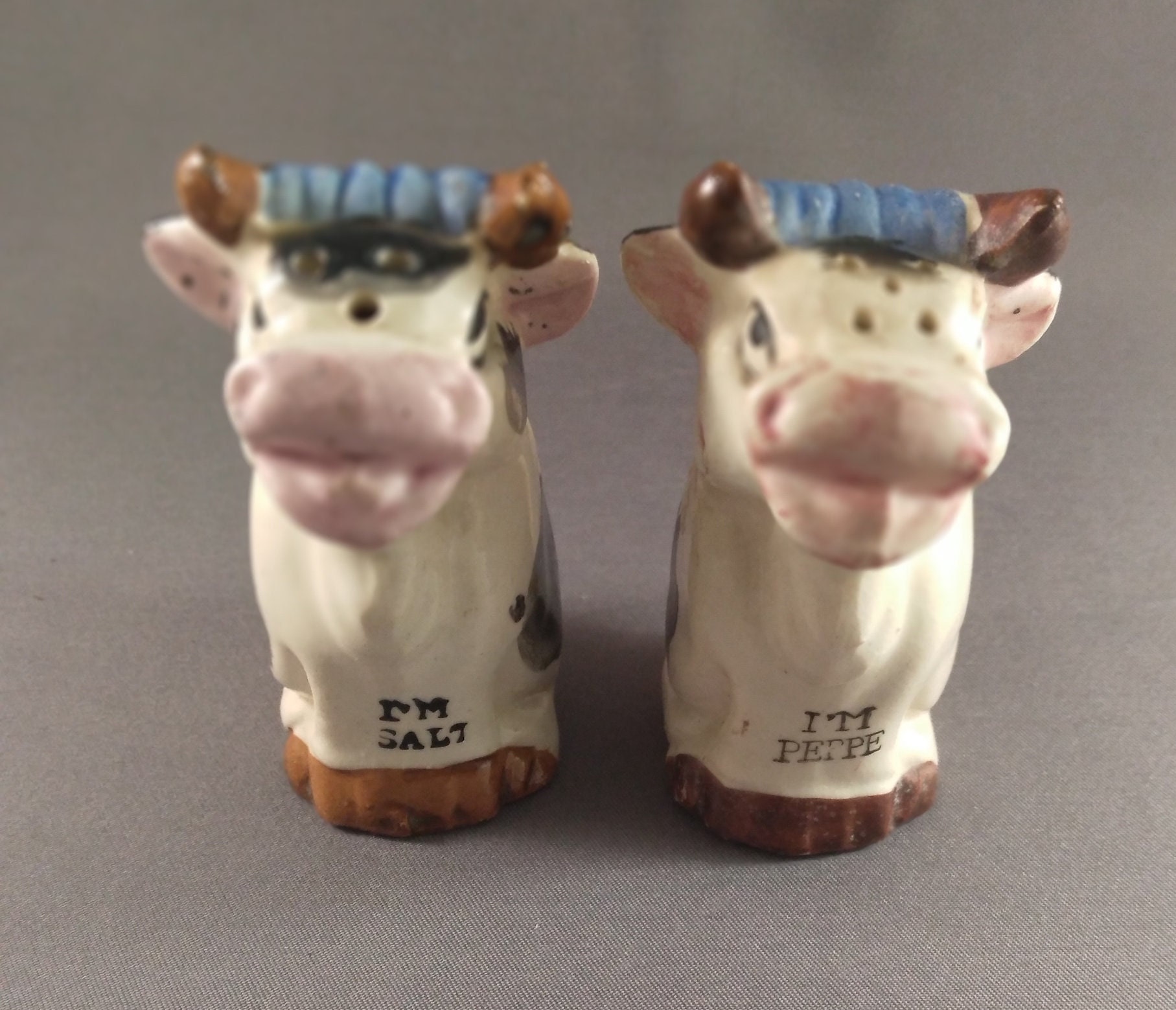 Wholesale Cows Ceramic Salt & Pepper Shakers – DII Design Imports