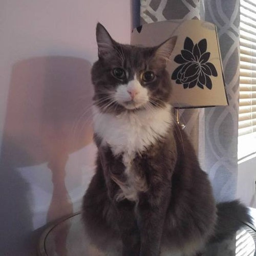 リヤドロ 5130 【 悲しいピエロ 】 台座付き “Clown's Head Bowler Hat” ピエロ LLADRO リヤドロ 興味津々 ホワイト ターコイズ サル 猿 申 置物