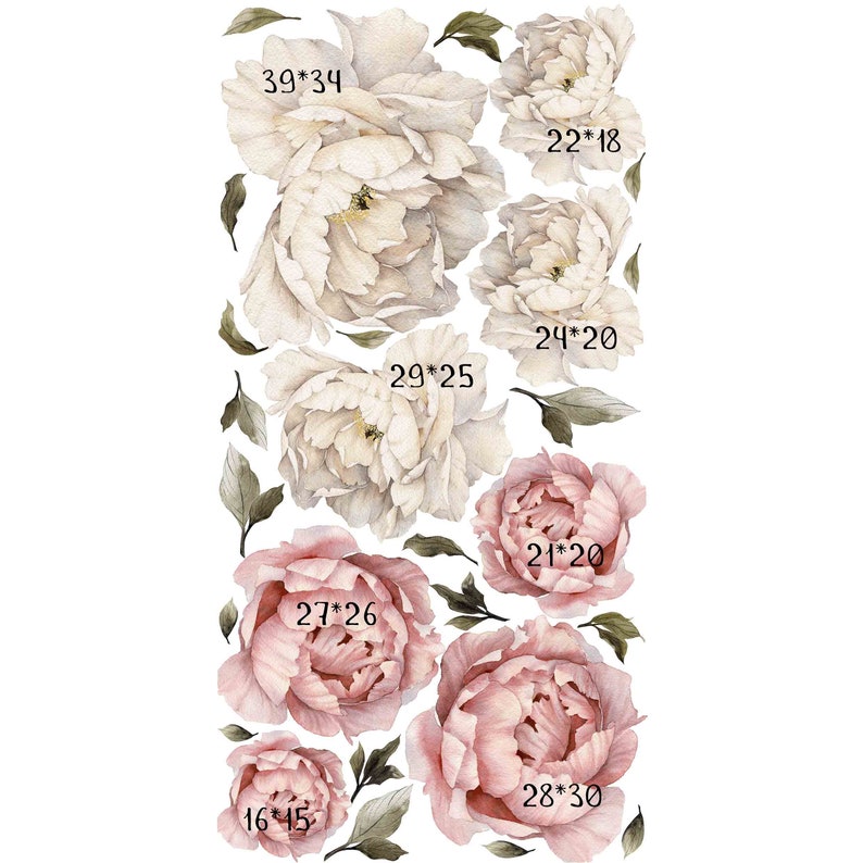 Peony Wall Decal Floral Removable Wallpaper by Little1Story Etsy