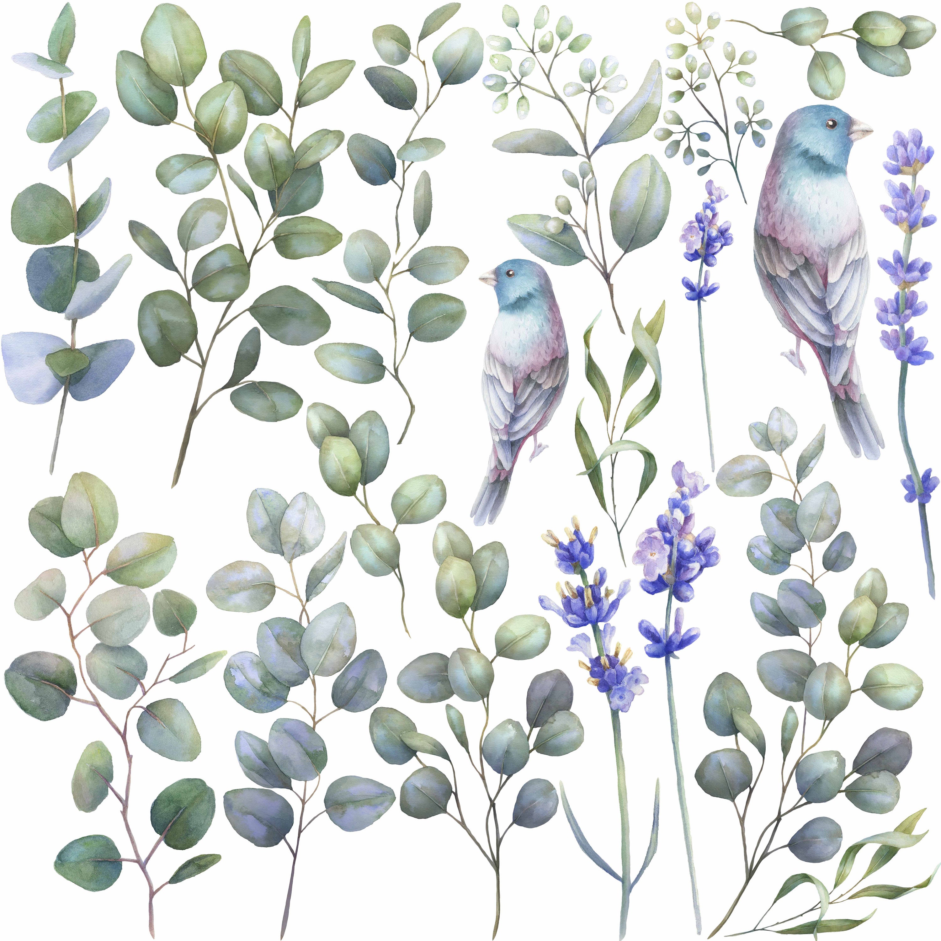 Eucalyptus Leaves Wall Decal Removable Botanical Wallpaper Etsy