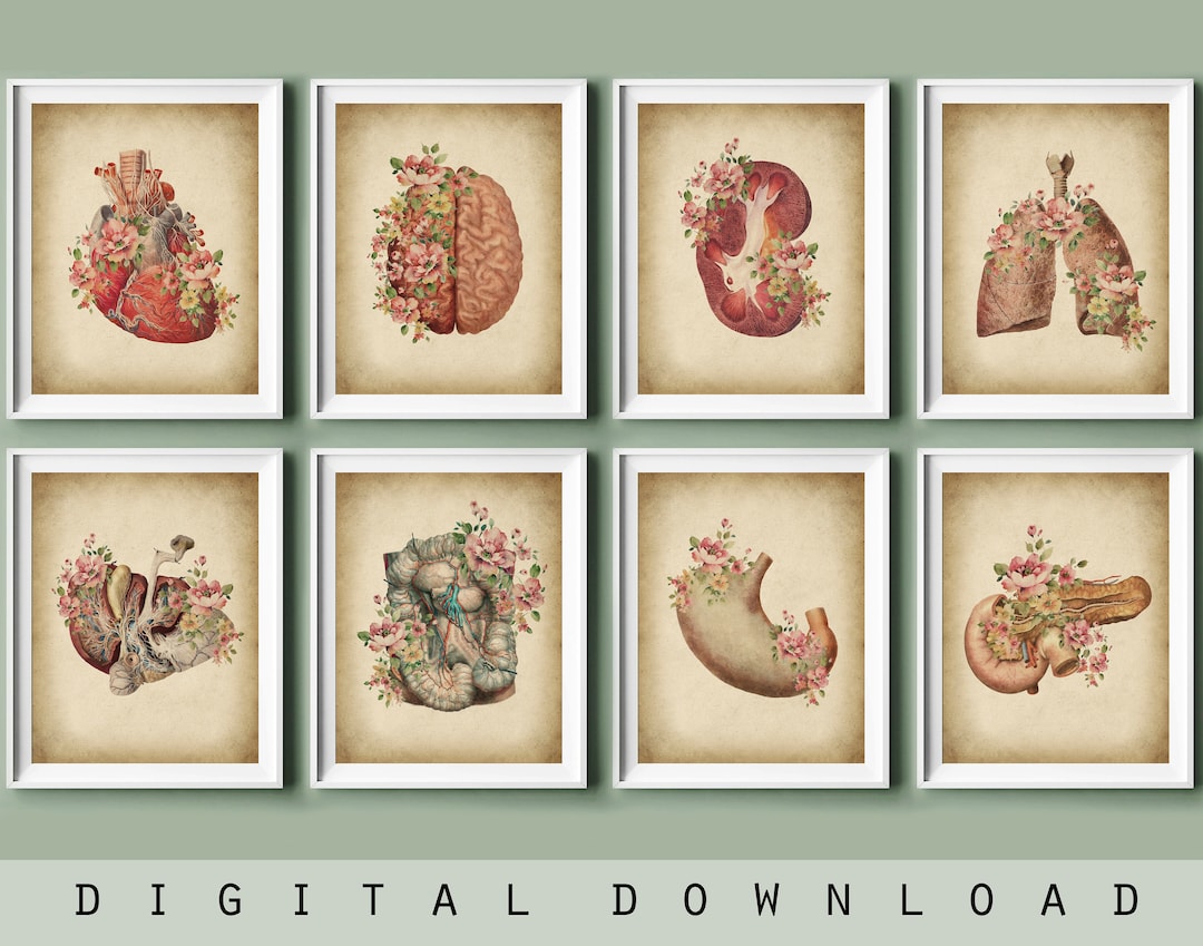 8 Vintage Anatomy Art Floral Anatomical Organs Painting Medical Artwork ...