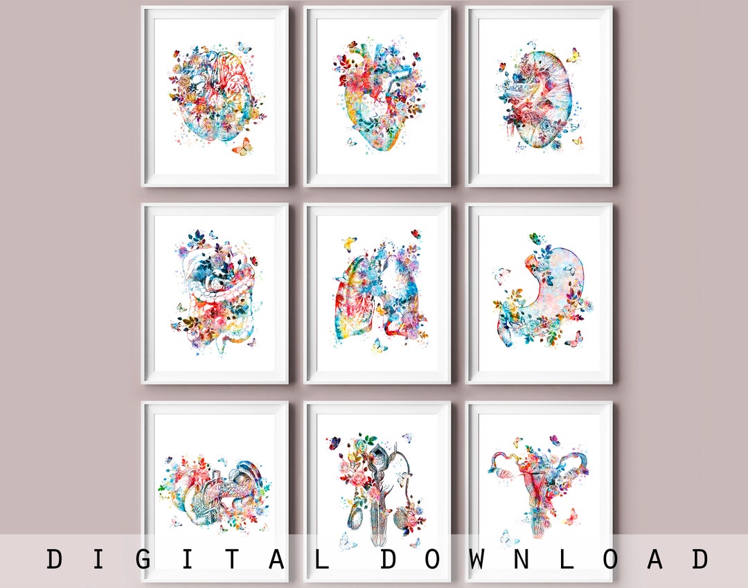 Watercolor Anatomy Print Set of 9 Medical Art Brain Print Etsy
