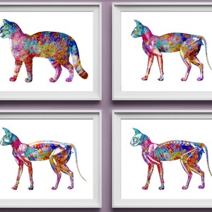 4 Watercolor Cat Anatomy Art Veterinary Poster Veterinarian Gift Cat Muscular System Cat Skeleton Animal Physiology Decor Vet Clinic Decor