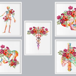 Set 5 Skeleton Anatomy Art Skeletal System Diagram Medical Art Osteology Art Orthopedic Surgeon Gift Chiropractor Gift Rheumatologist Gift