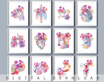 Anatomical Organs Watercolor Art Prints: Floral Medical Decor (Digital Download)