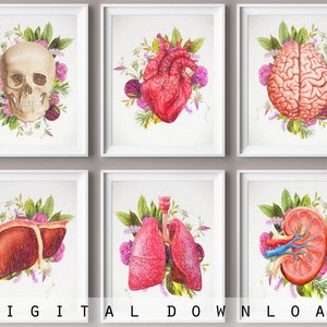 Set 6 Menschliche Anatomie Kunst, Medizinisches Kunstwerk, Medizin Poster, Bleistiftzeichnung, Blumenorgan Kunst, Anatomisches Organ, Arzt Geschenk, Klinik Dekor