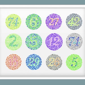 Ishihara Test Artwork Optician Gift Ophthalmologist Gift Ophthalmic Clinic Decor Vision Art Medical Poster Eye Doctor Gift