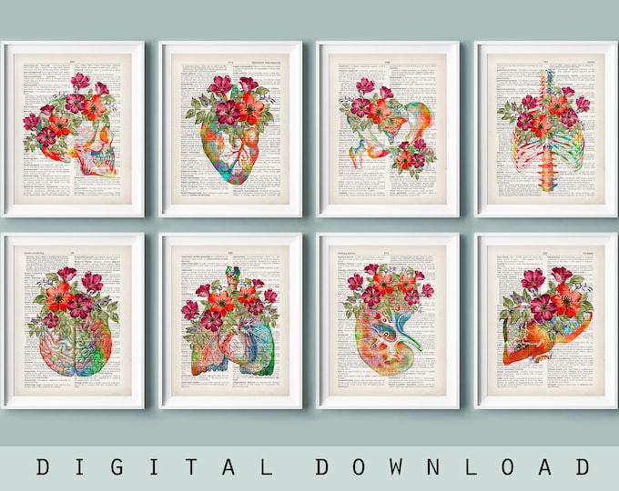 20 Human Skeleton Drawings, Medical Wall Art Set, Printable Abstract ...