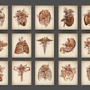 Set 15 Vintage Anatomy Artwork Scientific Art Medical Wall Art Surgical Medicine Poster Human Anatomical Organs and Flowers Paintings