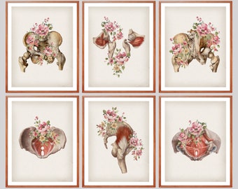 Pelvis Anatomy Art Prints: Floral Medical Wall Decor (Digital Download)