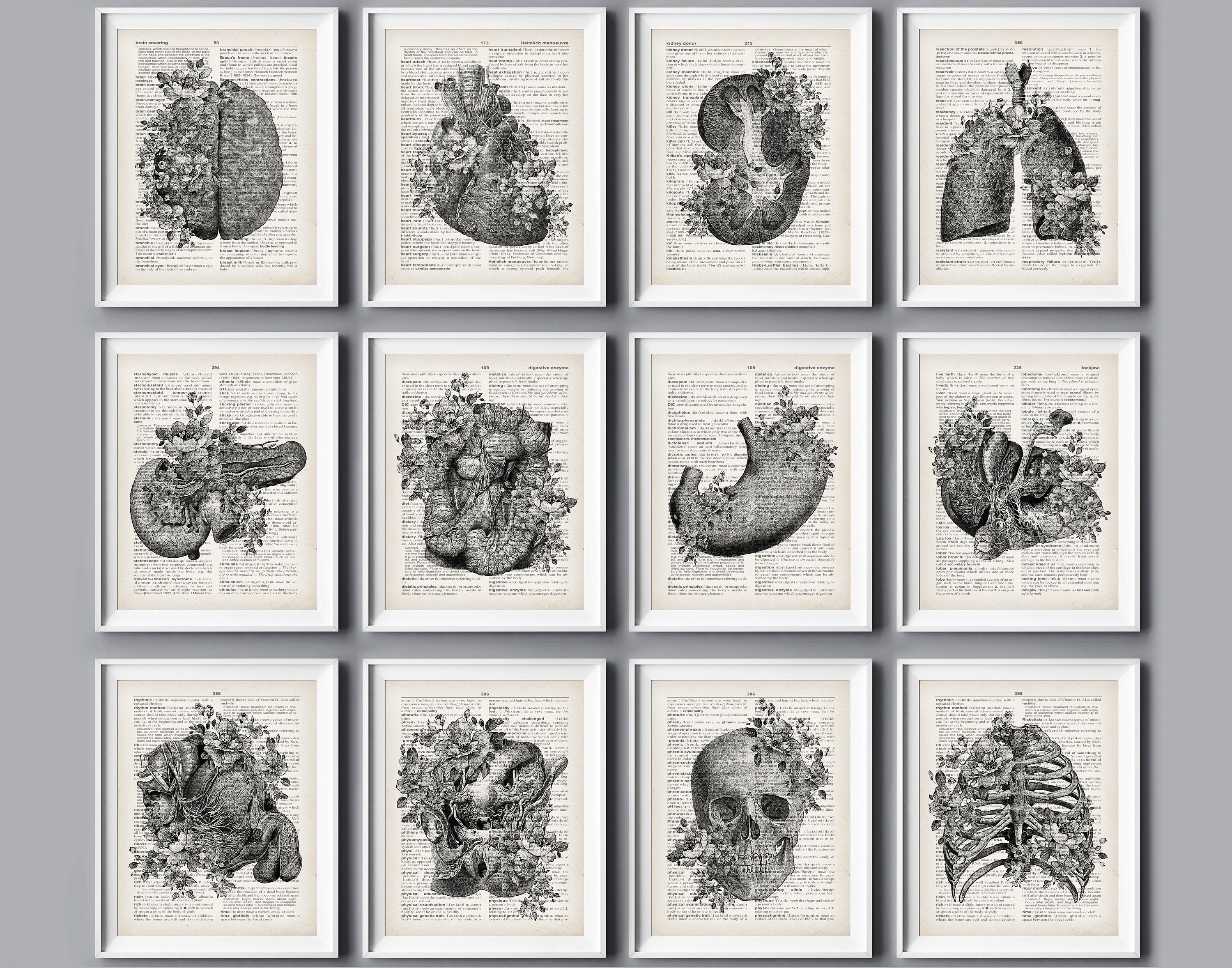 Vintage Anatomy Art Prints: Floral Human Organs Decor (11x14) - Etsy