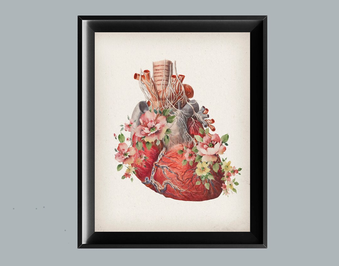 Floral Heart Anatomy Art Print: Medical Gift (digital Download) - Etsy
