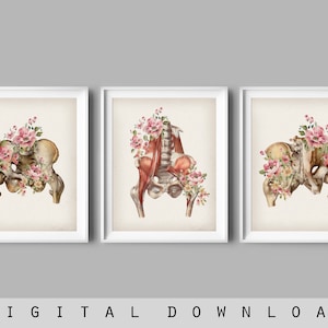 3 Vintage Skeletal Anatomy Art Floral Pelvis Poster Medical Art Anatomical Decor Human Skeleton Structure Chiropractor Gift Orthopedist Gift