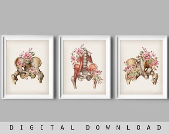 Floral Pelvis Anatomy Art Prints: Vintage Skeletal Decor (Digital Download)