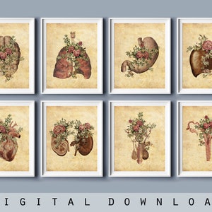 アンティーク解剖図 大判アート作品 アンティークの人体解剖図の写真素材 [FYI08061337] | ストック