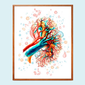 Niere Kunst, Anatomische Niere, Nephrologie Kunst, Aquarell Anatomie, Arterien und Venen der Niere, Chirurg Büro Dekor, Nephrologie Geschenk